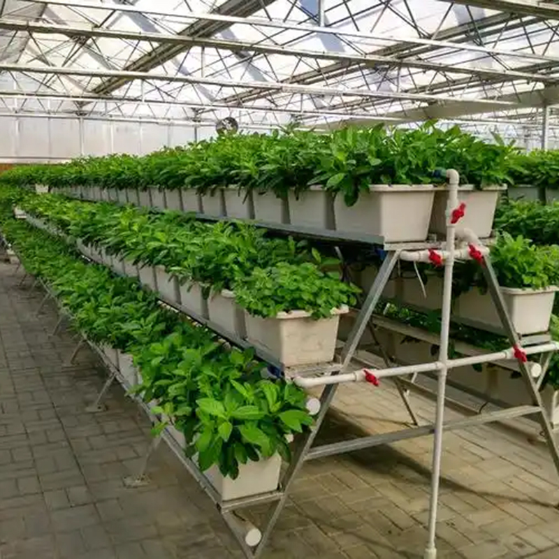 石嘴山市植物工厂蔬菜大棚 - 方案